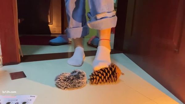 抖音六六asmr脚踩的声音助眠，踩松果易拉罐哄睡